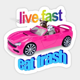 Life fast, eat trash raccoon possum word art Sticker